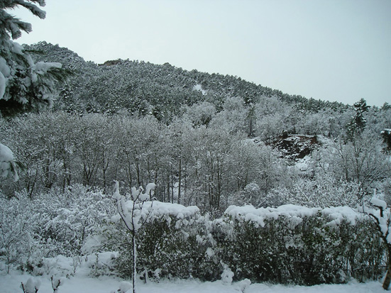 Casa Rural 