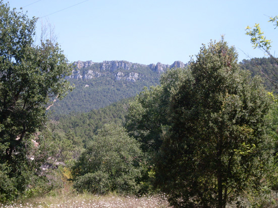 Casa Rural 