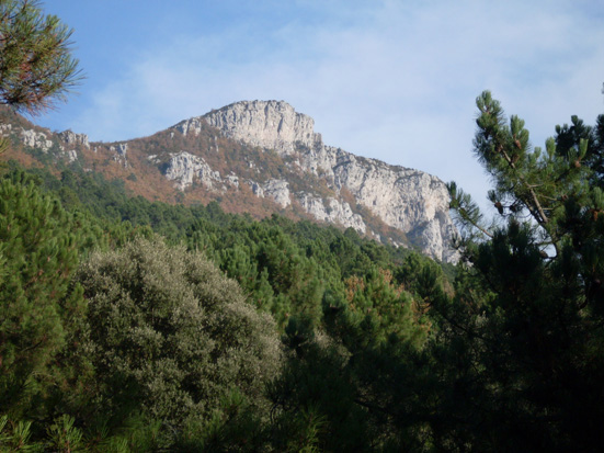 Casa Rural 