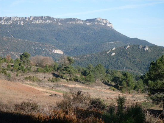 Casa Rural 